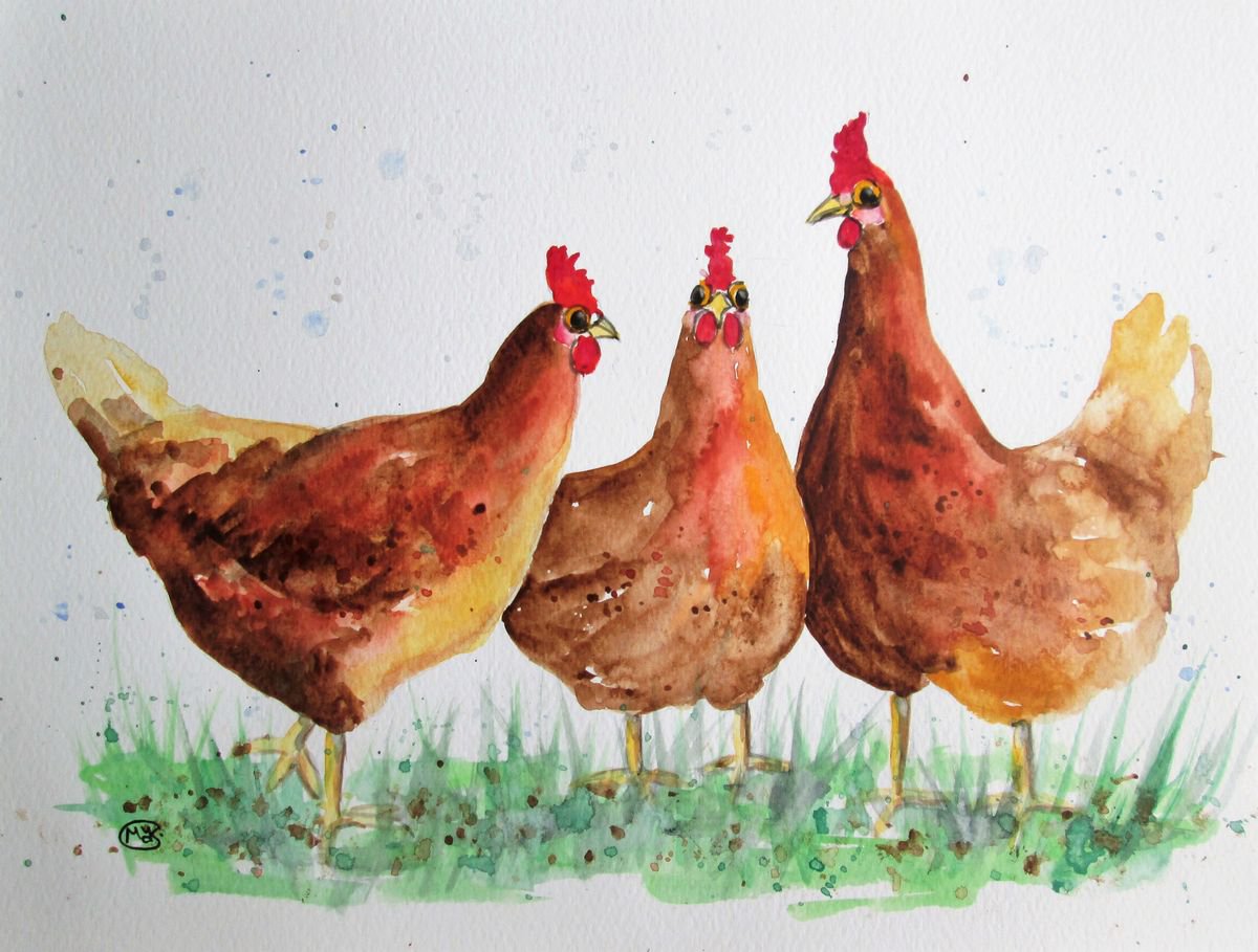 Free Range Chickens by MARJANSART