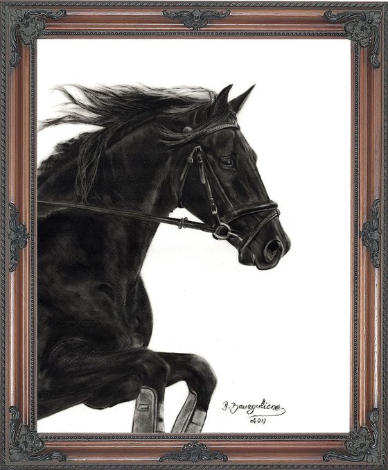 Oil painting ,,  Horse MERLIN ,,