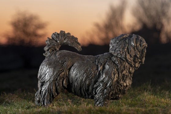 Norfolk Terrier Bronze Resin