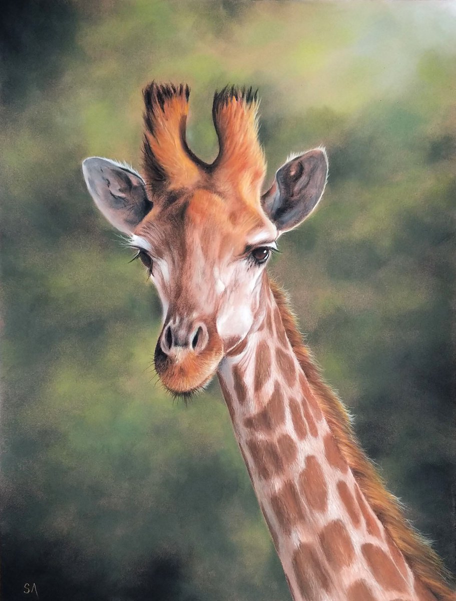 Giraffe (Original Painting) by Sean Afford