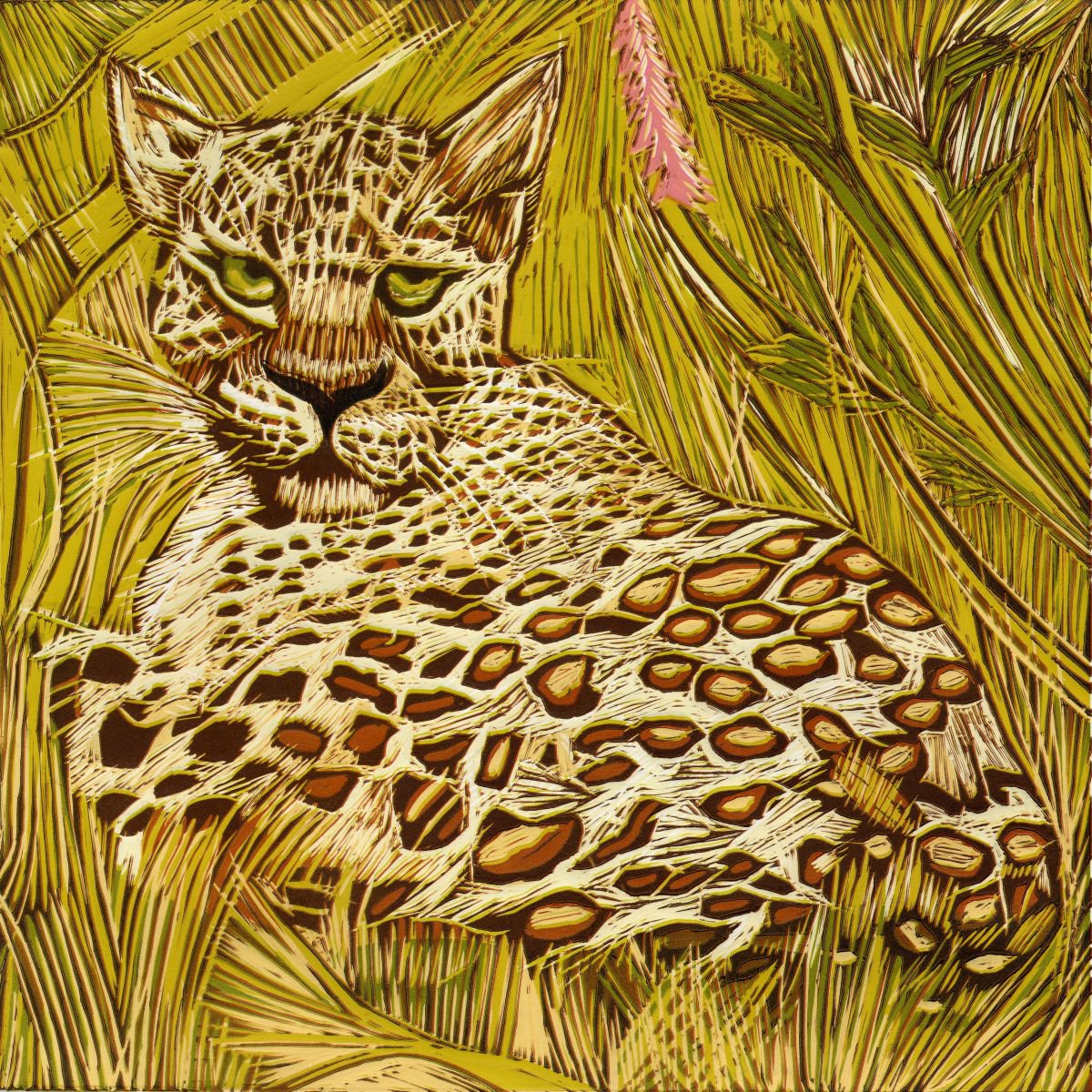 Leopard, Masai Mara by Marian Carter