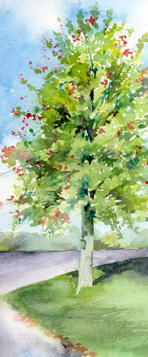 Holly tree, Original watercolour painting by Anjana Cawdell