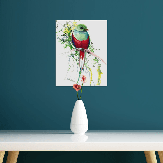 Quetzal Bird watercolor artwork