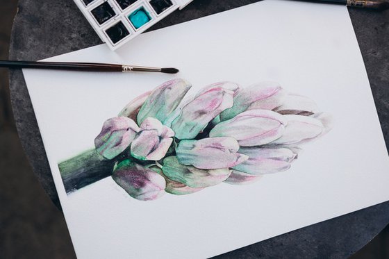 The Hyacinth From Keukenhof