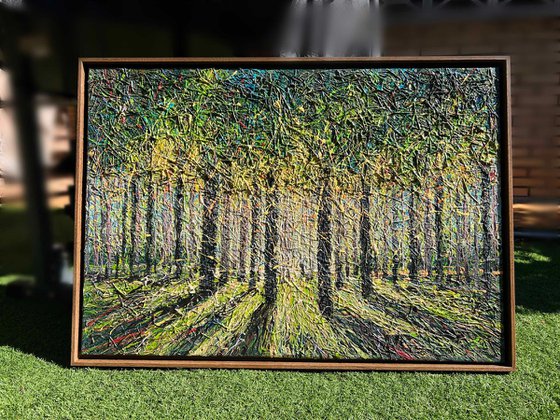 Spring Forest Light