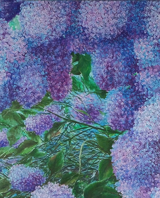 Sea of Lilacs