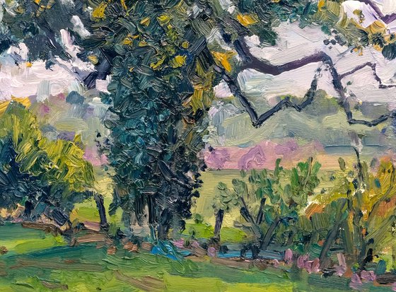 Autumn Oaks, Coxwold