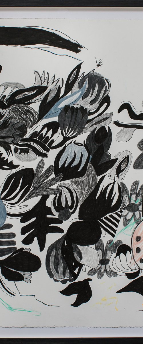 The Black Garden by Heidi P