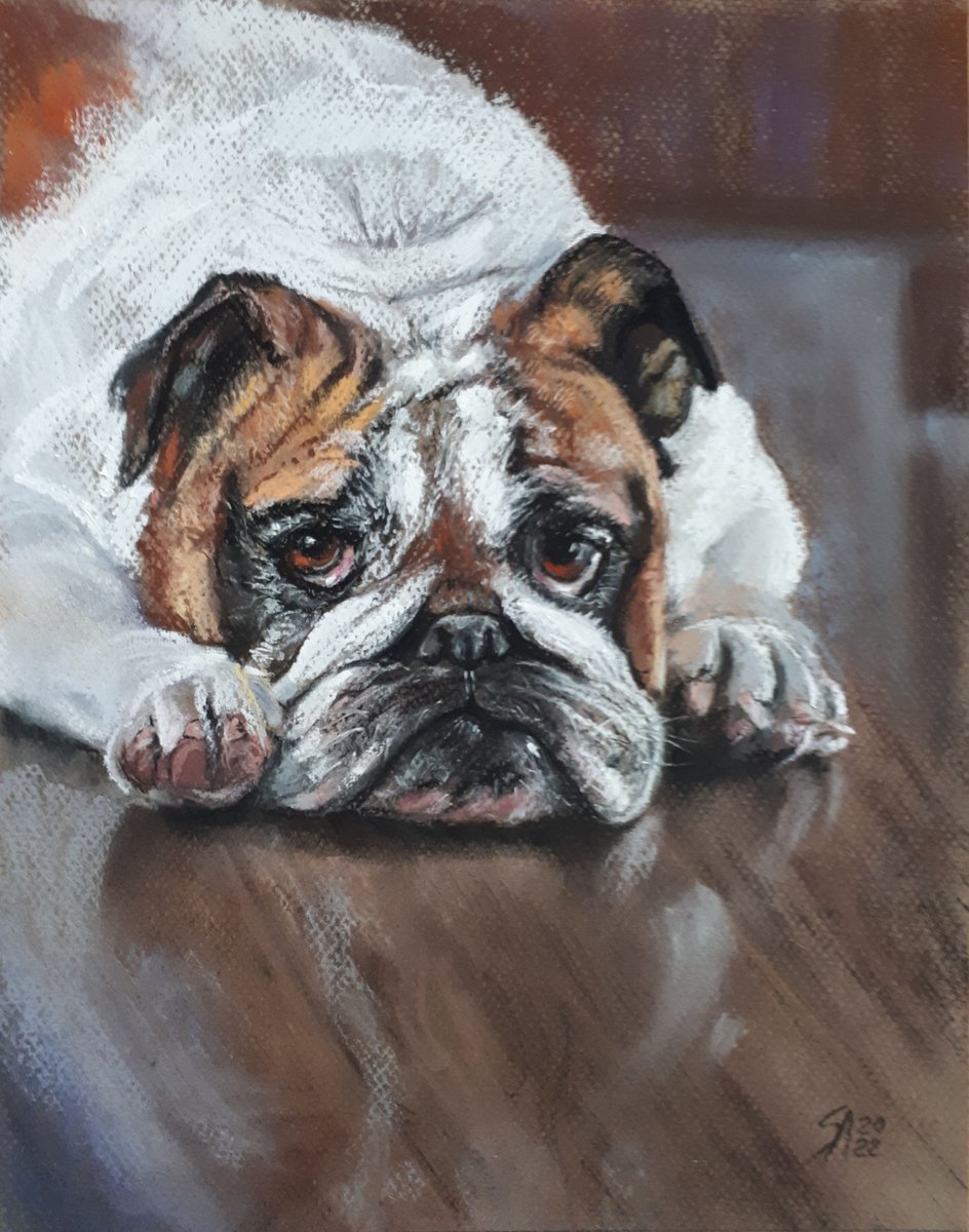 Impressionistic Animal Pastel Drawing By Salana Art / Svetlana Samovarova, 9 X 12", Bulldog, Original Artwork