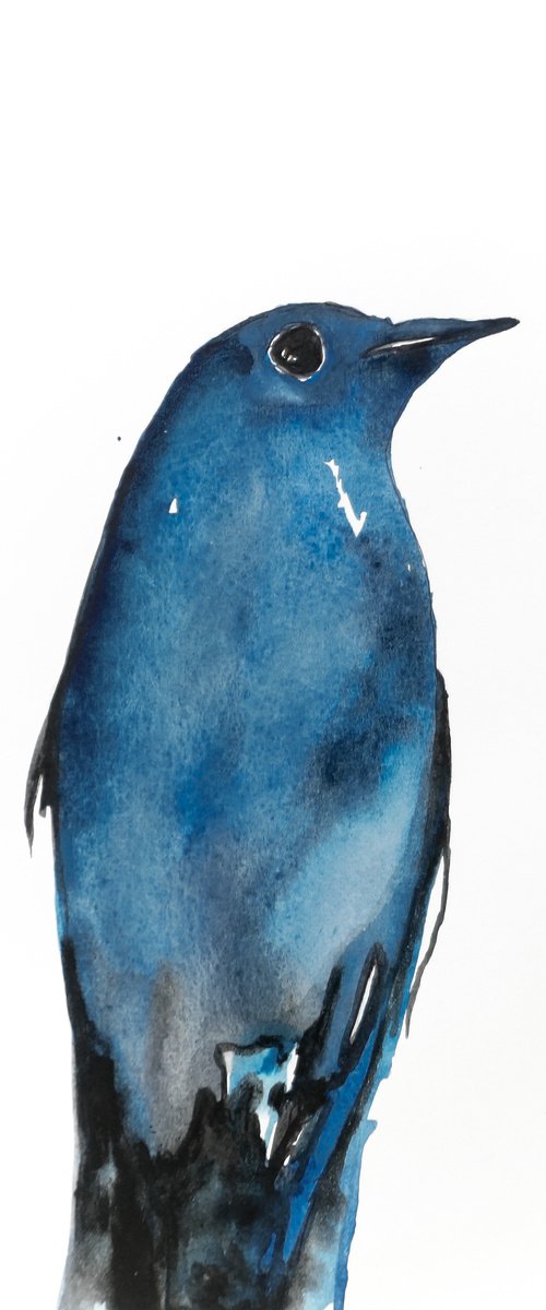 Bird by Nadia Moniatis