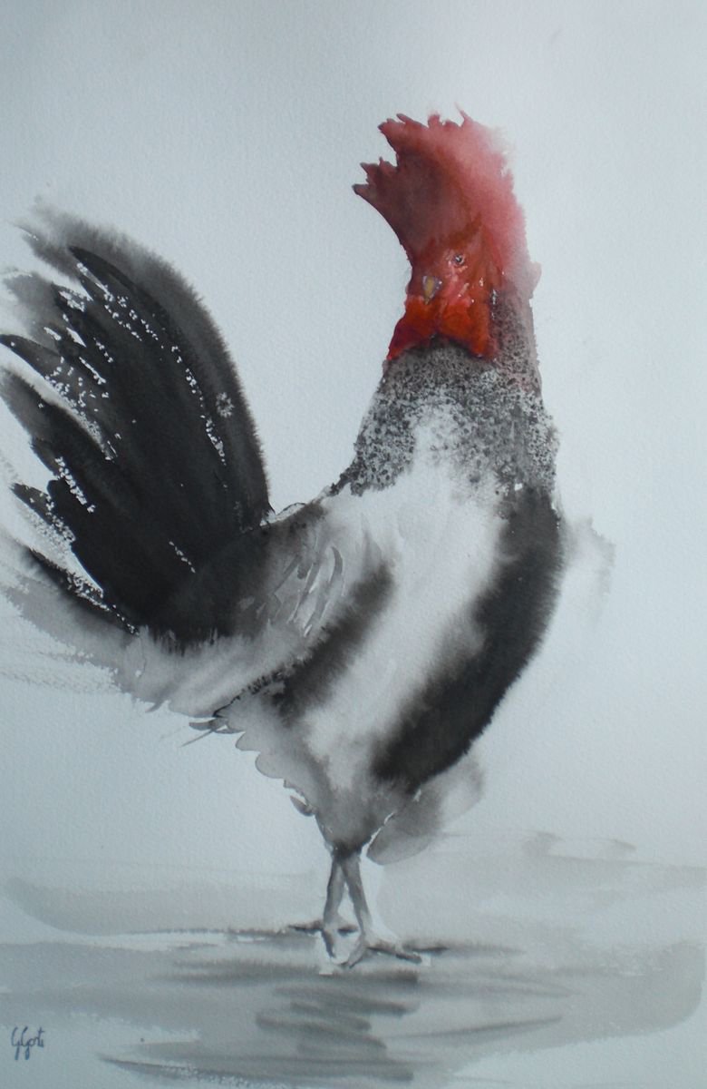Expressive Animal Watercolour By Giorgio Gosti, 13 X 18, Rooster 7, Original Artwork