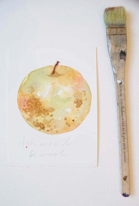 Ashmead Kernel Apple Watercolour