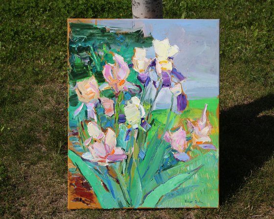 " Irises "