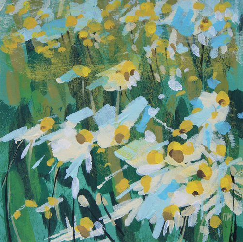 Daisies field by Irina Plaksina