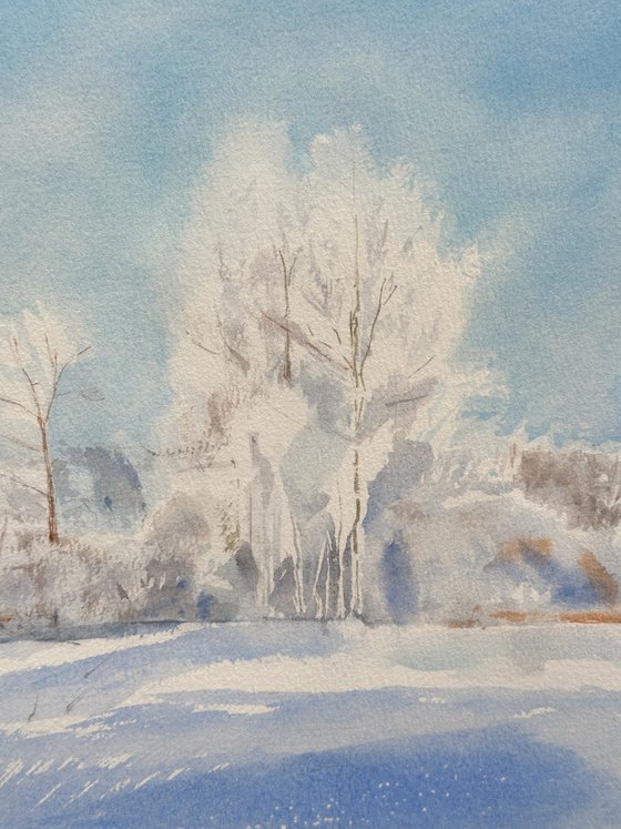 Land: Between Snow and Sky