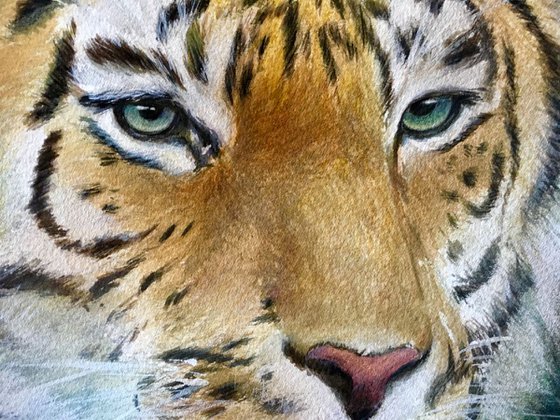 Tiger Eyes II