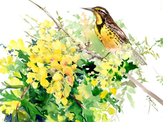 Meadowlark and Flowers