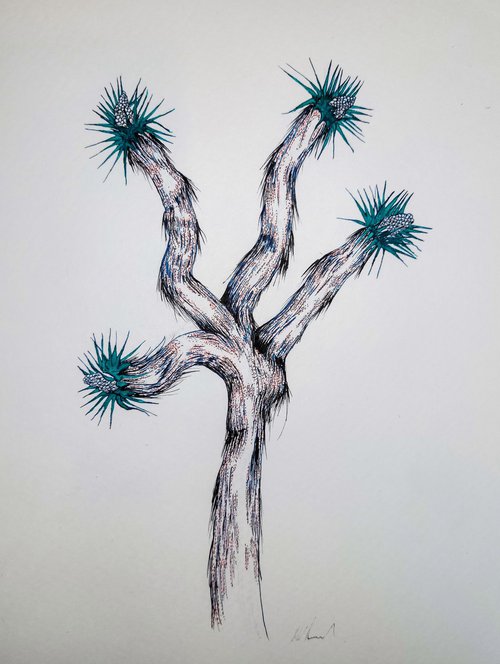Joshua Tree #2 by Mark Hannah
