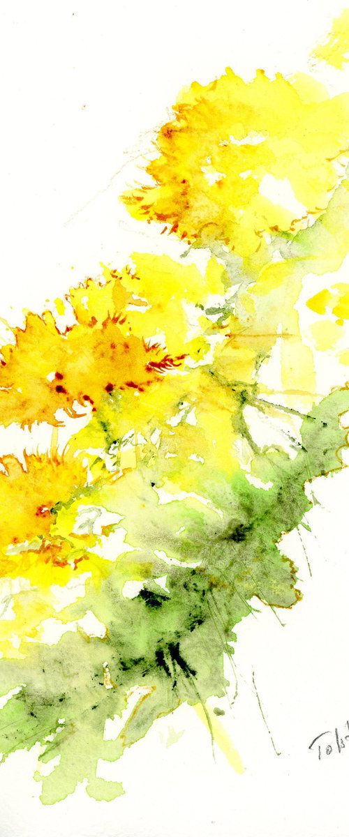 Dandelions by Alex Tolstoy