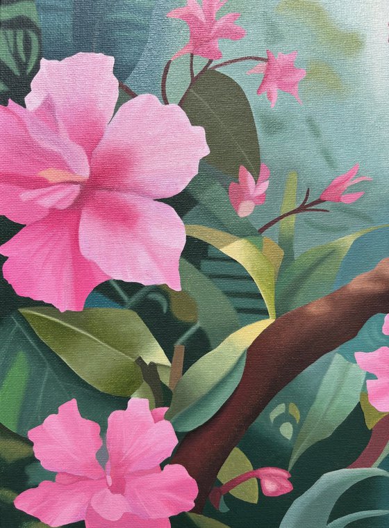 Tropical Bird With Pink