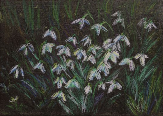 First Flowers II, 2018, oil pastel on paper