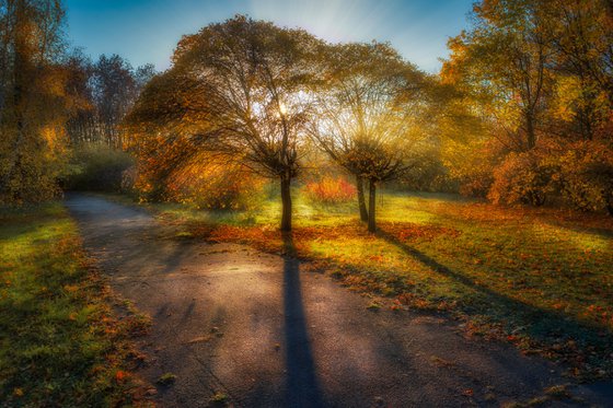 Autumn Calm VI — Morning Radiance