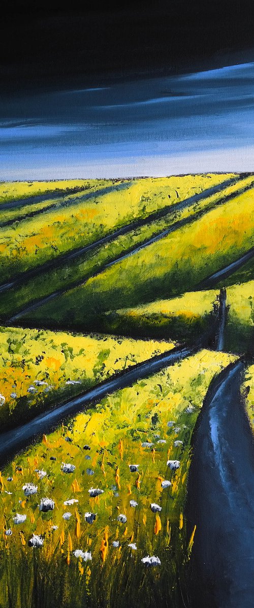After Rain -  Fields and Colors Series by Danijela Dan