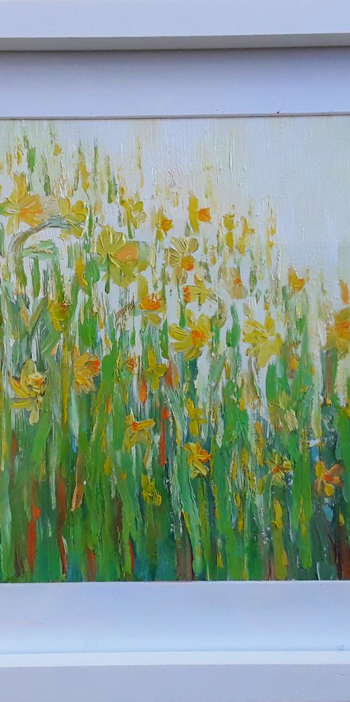 Daffodil Gold by Therese O'Keeffe