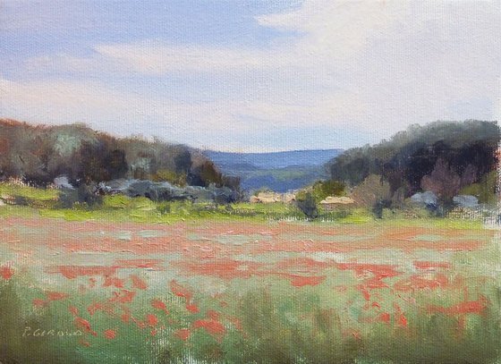 Poppies Field near Forcalquier