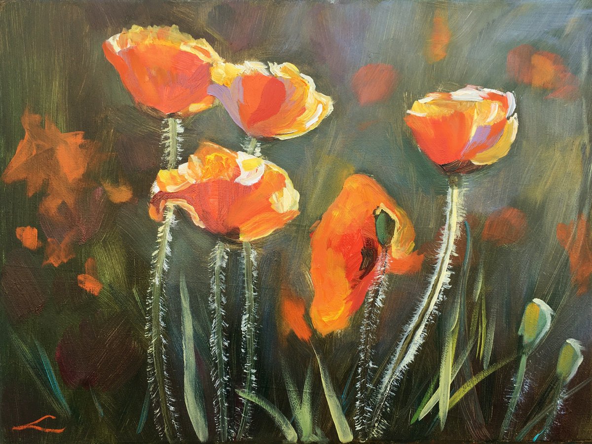 Impressionistic Botanical Oil Painting By Elena Sokolova, 16 X 12, Poppies 2, Original Artwork