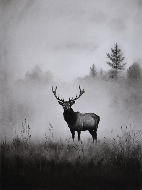 Deer Drawing
