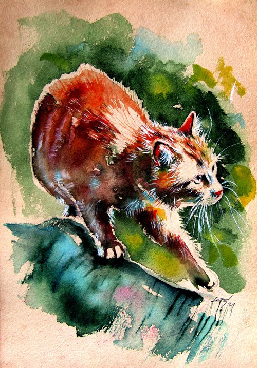 Hunting cat by Kovács Anna Brigitta