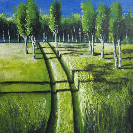 Long Shadows