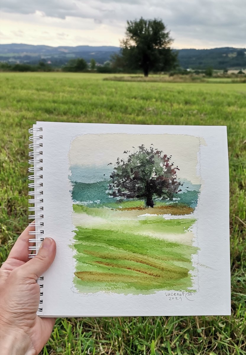 Landscape with a tree. Massif Central, France. by Tatyana Tokareva