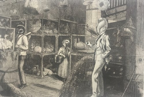 The poultry dealer by Tudor Evans