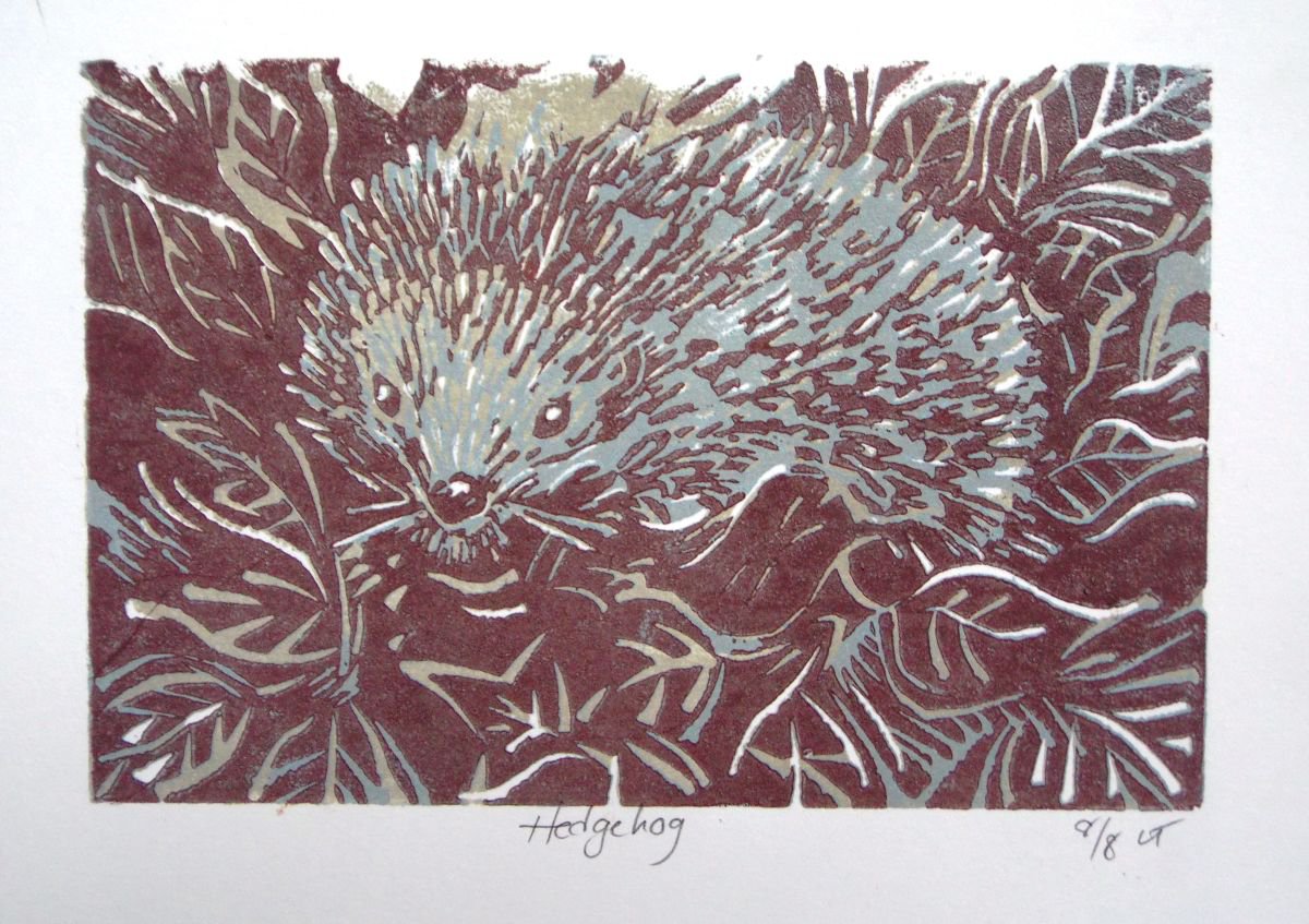 Hedgehog by Louise Thompson