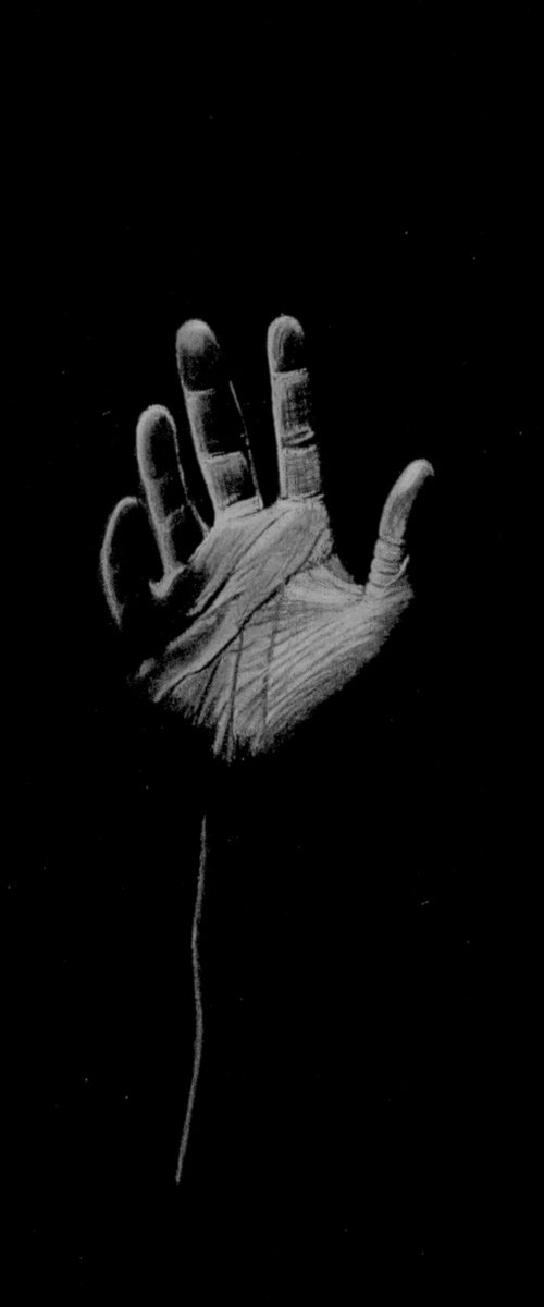 Shadow Series IV by Paul Stowe