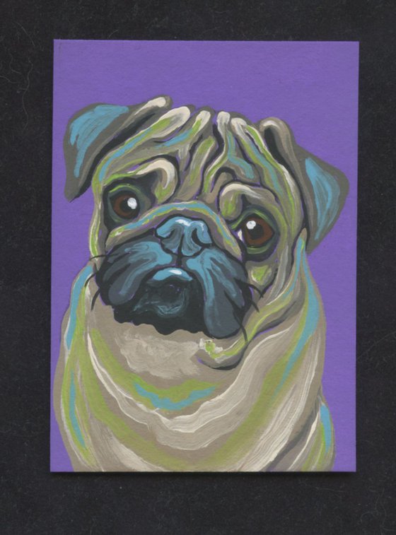 ACEO ATC Original Miniature Painting Colorful Pug Pet Dog Art-Carla Smale