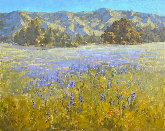 Lupine Field Mosaic Landscape