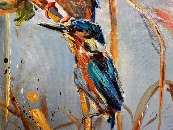 Kingfishers