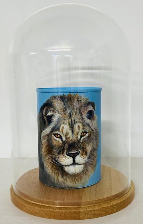 African Lion Can by Louise McNaught