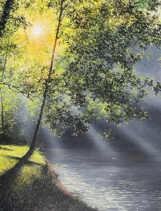 Sunlit Forest and River