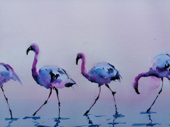 flamingos 3