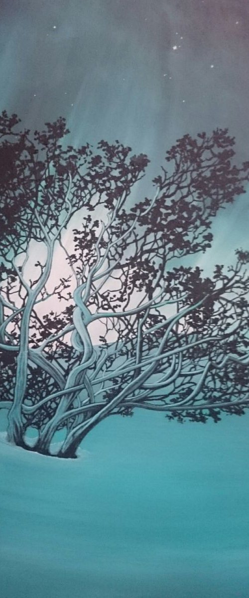 Twisted tree by Zoe Adams