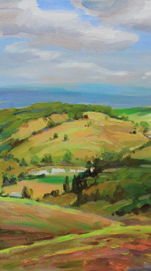"Summer clouds" by Alisa Onipchenko-Cherniakovska