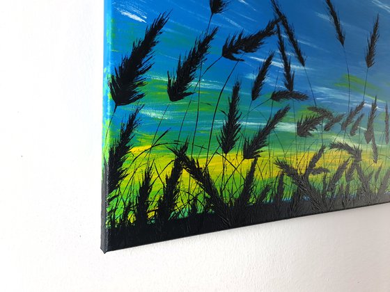 Sunrise in the grass