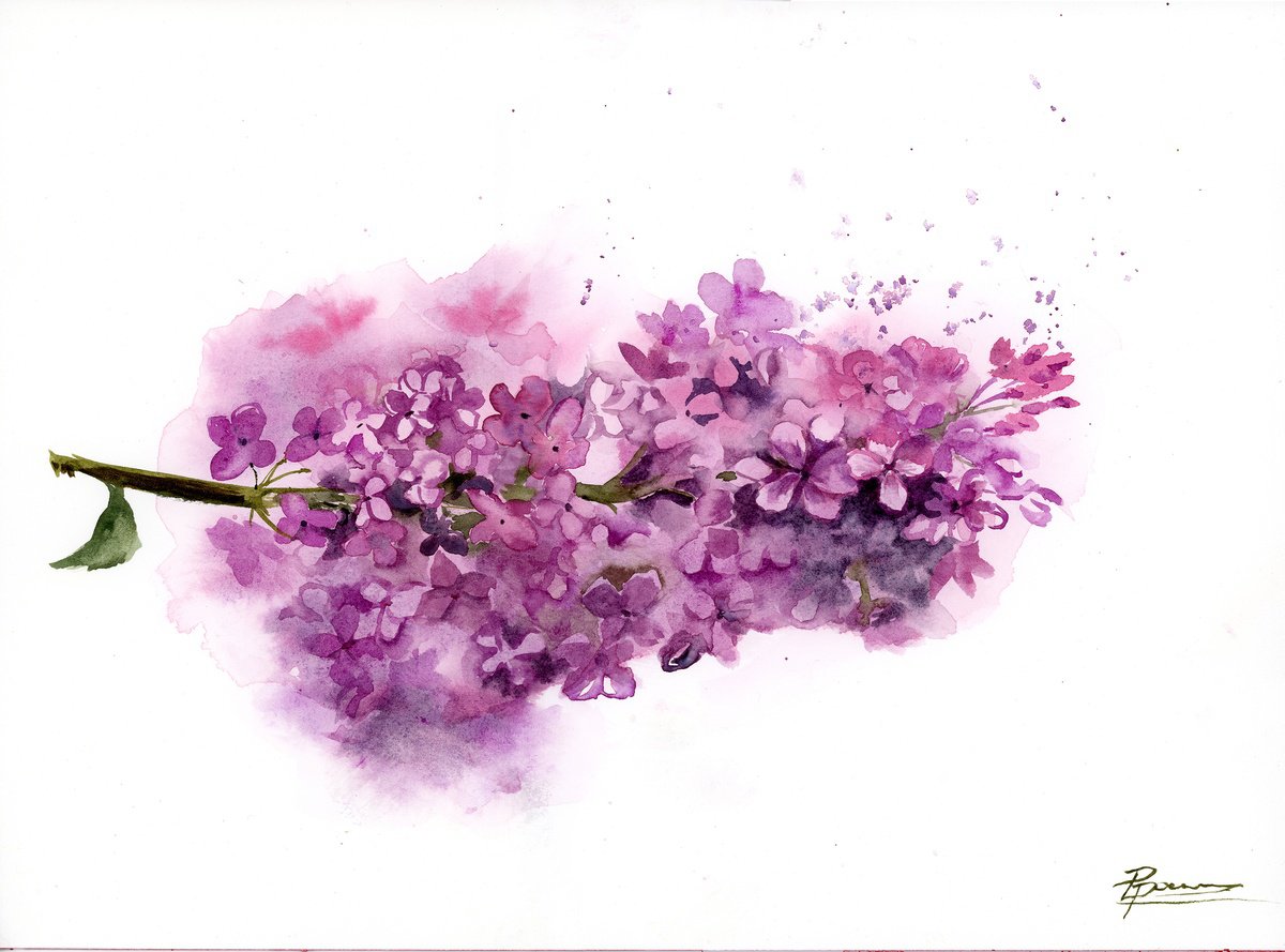 Impressionistic Botanical Watercolour By Olga Tchefranov (Shefranov), 14 X 10", Lilac, Original Artwork