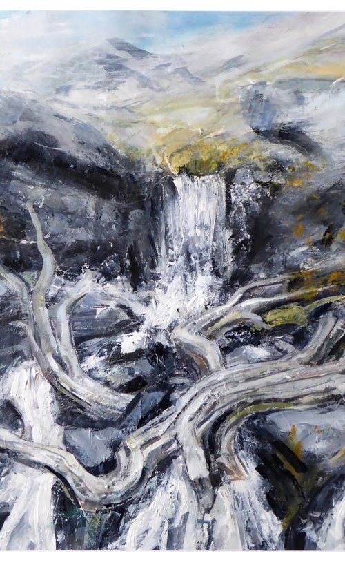 Falls, Fallen Trees, Langstrath, Cumbria by John Sharp