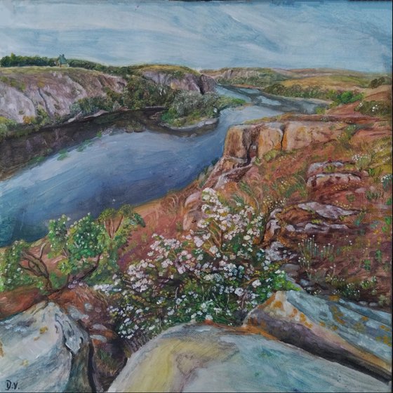 Blossom rocky landscape
