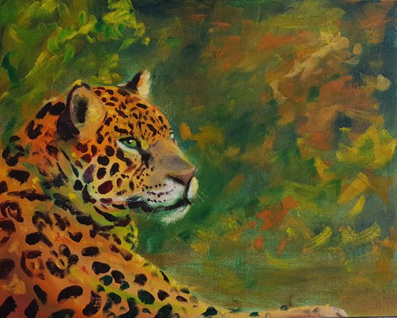 Onça pintada (Jaguar)
